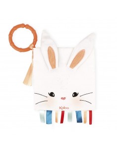 Libro de Actividades El Conejo Enamorado de Kaloo
