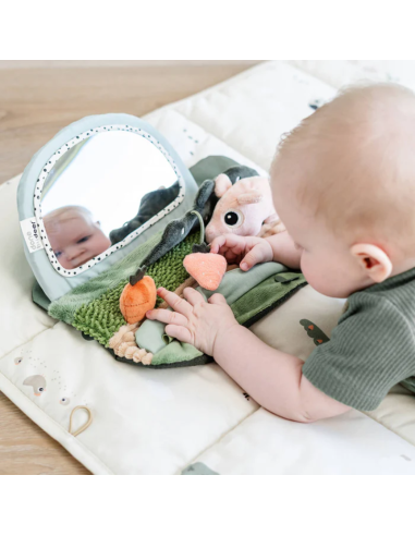 Comprar Espejo Sensorial Tummy Time|Done by Deer Comprar Espejo Sensorial Tummy Time|Done by Deer