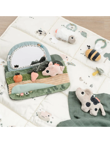 Comprar Espejo Sensorial Tummy Time|Done by Deer Comprar Espejo Sensorial Tummy Time|Done by Deer